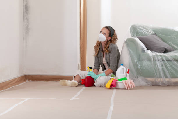 Reliable Mold Remediation contractor in Cottage Grove, MN by 24 Hour Mold Removal